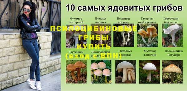 герыч Арсеньев