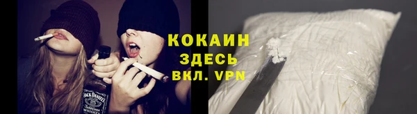 дживик Аркадак