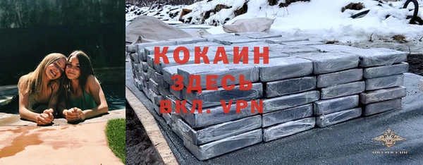 дживик Аркадак