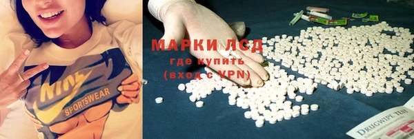 дживик Аркадак