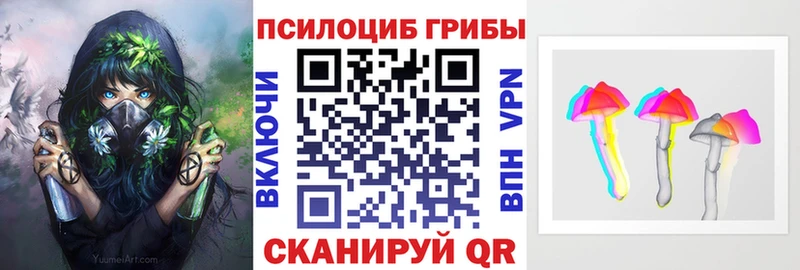 Купить где  Фурманов  Псилоцибиновые грибы Magic Shrooms 